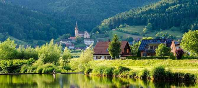 היער השחור למטייל הישראלי היער השחור למטייל הישראלי